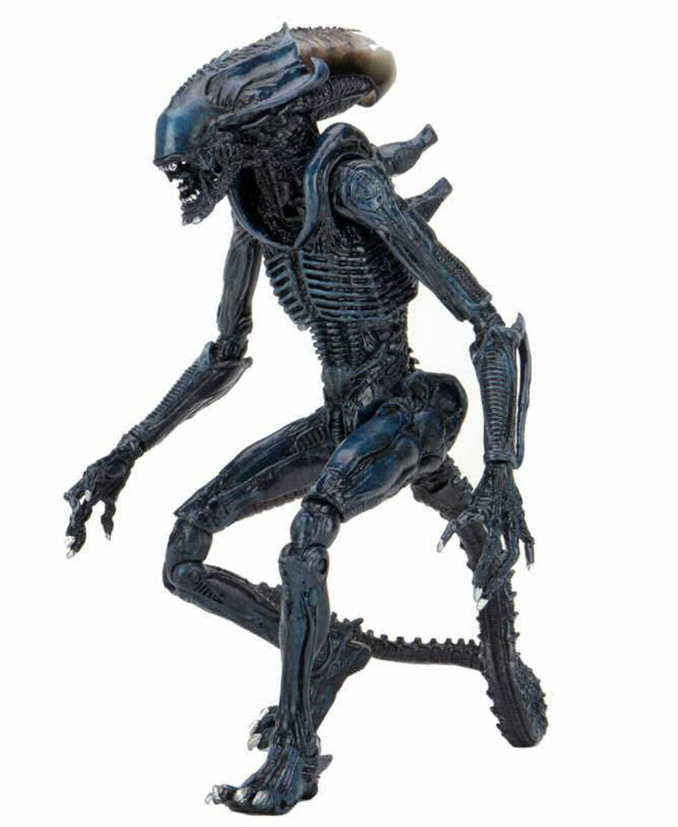 Figurine Alien vs. Predator - Archanoid Alien - NECA51717-3
